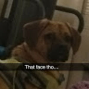 Meet your Posher, Michelle